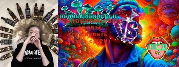 мдпв Алексин